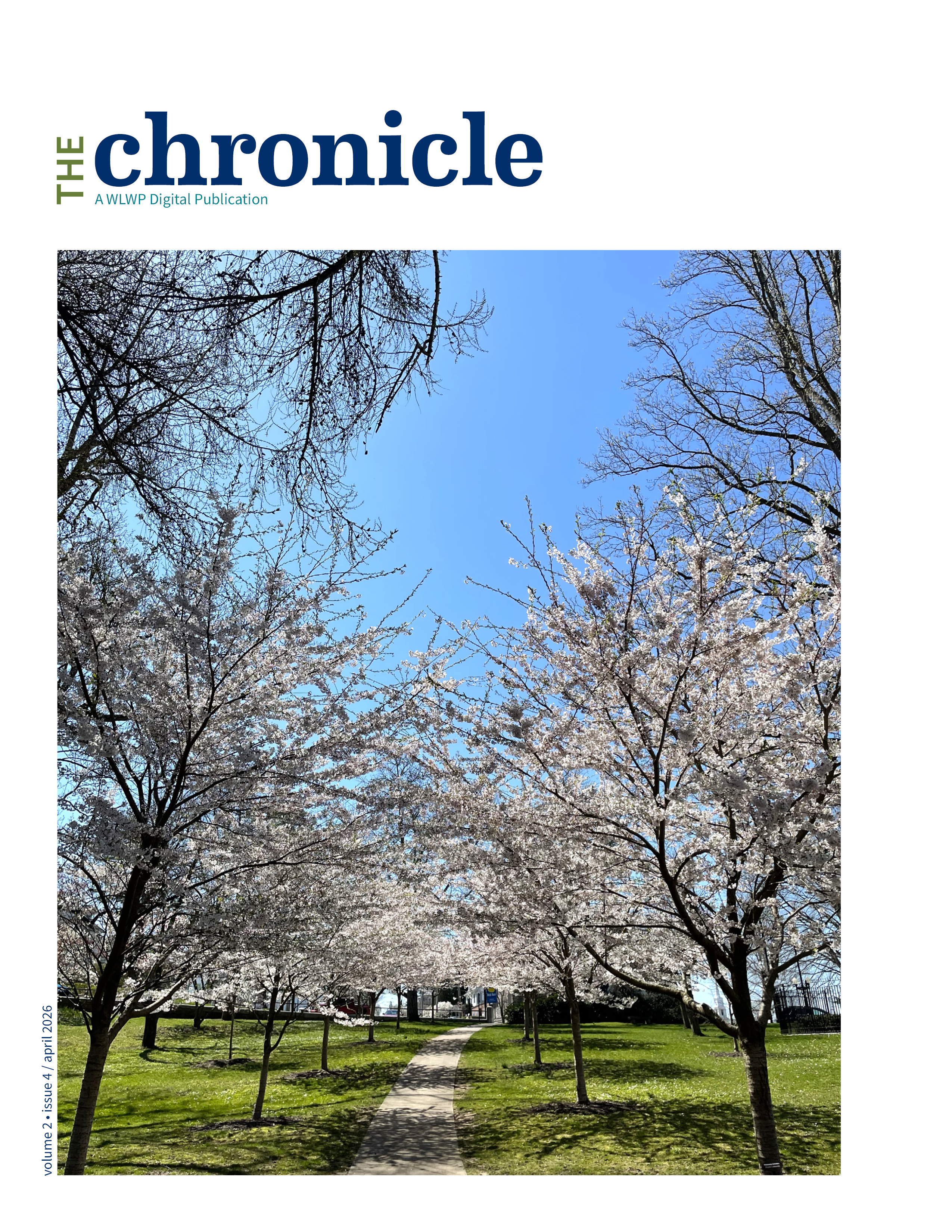 cherry allee in the park